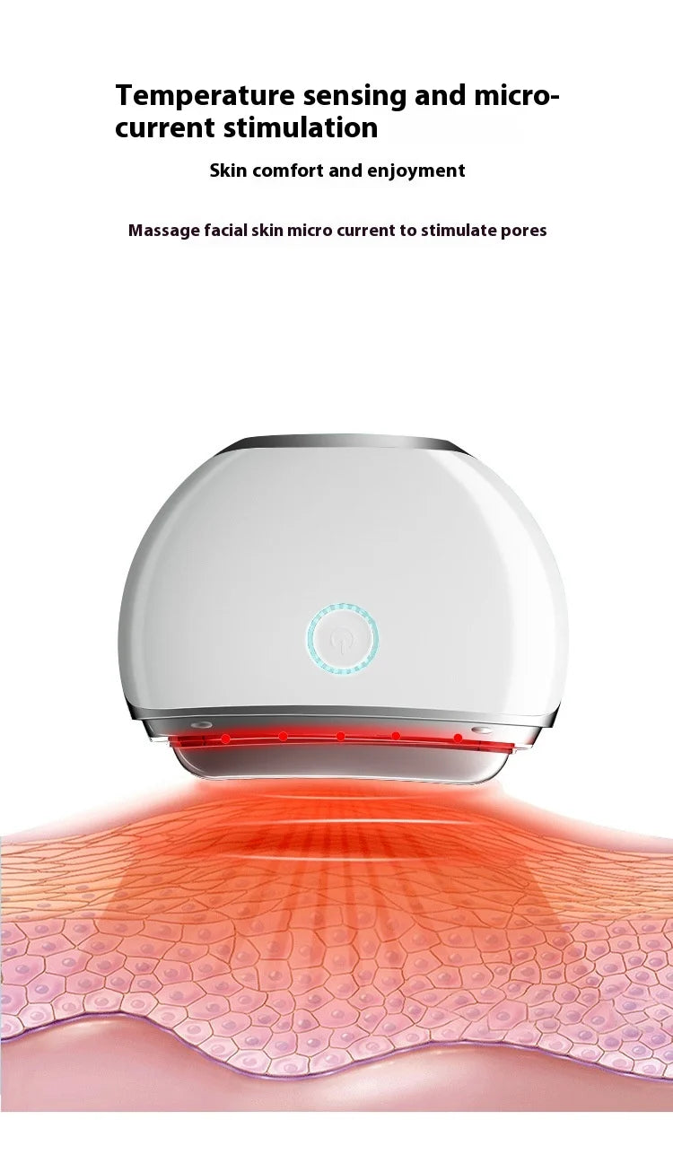 Photon Skin Care Electric Facial Massager